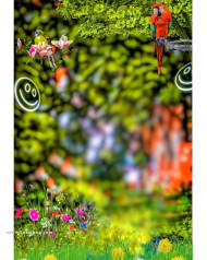 Snapseed cb background free