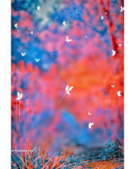 Snapseed cb background free download