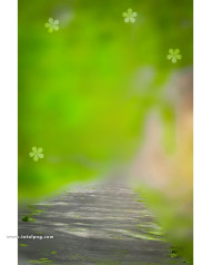 Snapseed cb background hd