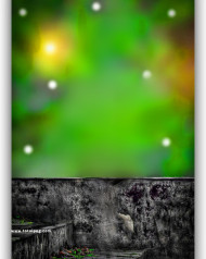 Snapseed CB Background HD 2023 For Photo Editing