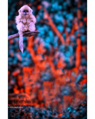 Snapseed Cb Background Hd Picsaet Download Free