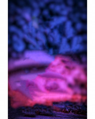 Snapseed cb editing background