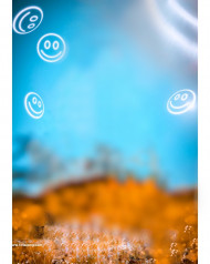 Snapseed cb editing background