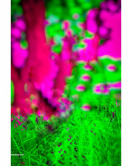 snapseed cb editing background