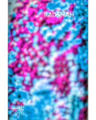 Snapseed cb editing background