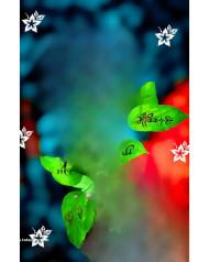 Snapseed cb editing background 4k