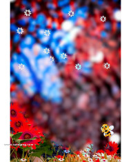 Snapseed cb editing background new