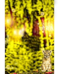 Snapseed full hd cb editing background