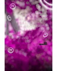 Snapseed hd cb editing background