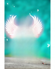 Snapseed hd cb editing background