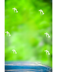 Snapseed Heart Cb background