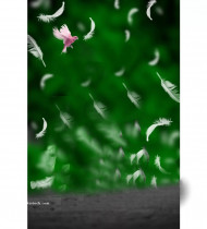 Snapseed Natural Cb Background