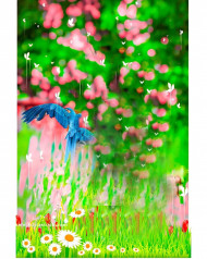 Snapseed Natural Cb Blur Editing Background Rose