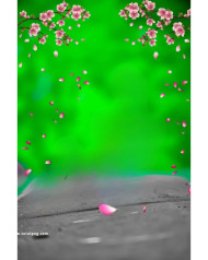 Snapseed Natural Cb editing background