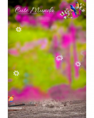 Snapseed photoshop cb editing background download