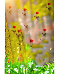 Snapseed rose cb editing background