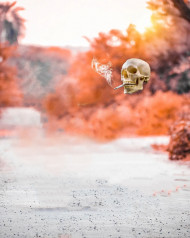 Snapseed Skull Smoking Background