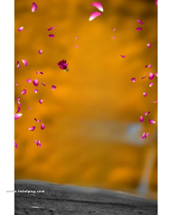 Snapseedd new cb background hd full size 4k