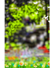 Snou siddiqui cb background editor