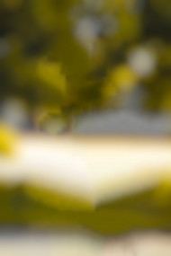 Sonu editor editing background