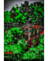 sonu siddiqi cb editing background