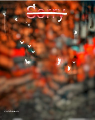 Sorry cb editing background,Trend cb editing background