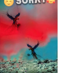 Sorry hd cb editing background