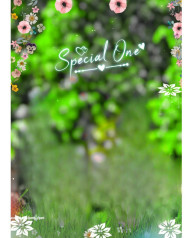 Special one cb background images