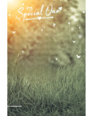 Special one photoshop cb background