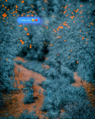 Sr editing cb editing background (2)