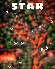 Star Cb Editing Background Picsart