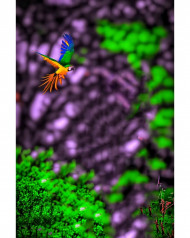 Subh devil cb background