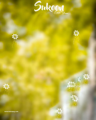 Sukoon hd cb editing background