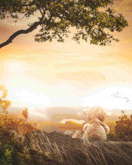 Sunlight Manipulation Editing New Background Full HD   1500x1875