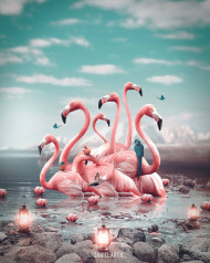 Swan  editing background