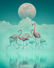 Swan  photoshop editing background