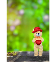 Teddy Bear cb editing background for editing