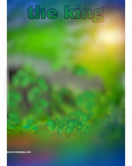 The King Trending Cb editing Bcakground