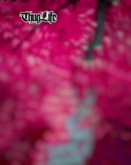 Thug life cb photo editing background