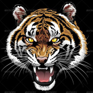 Tigar face png