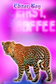 Tiger 1000  full hd cb editing background