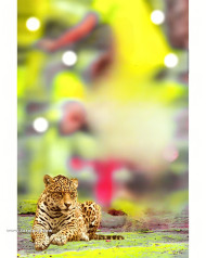 Tiger cb background download