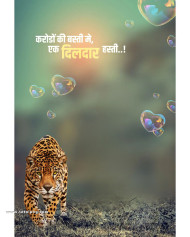 Tiger cb background free download