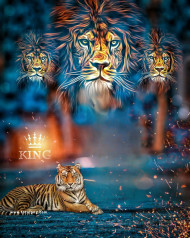 Tiger cb background free download