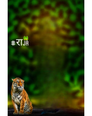 Tiger cb background hd