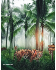 Tiger CB Background HD Full size