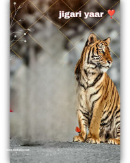 Tiger cb backgrounds images