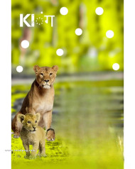 Tiger cb editing background