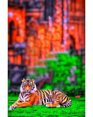 Tiger hd cb editing background