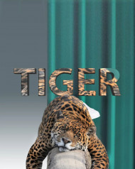 Tiger hd editing background